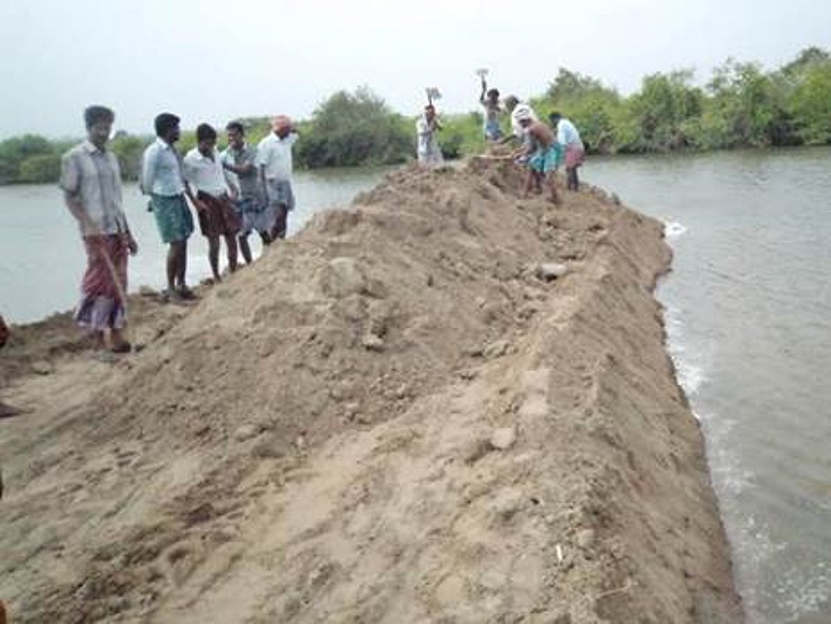 சிதம்பரம் அருகே கடல்நீர் உட்புகுந்து 6 ஆயிரம் ஏக்கர் விளை நிலங்கள் பாதிப்பு!